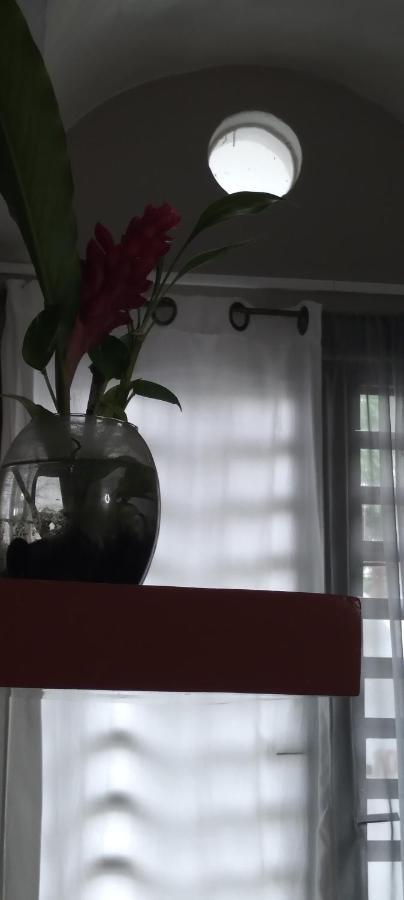 帕伦克Departamentos De La Reina Roja公寓 外观 照片